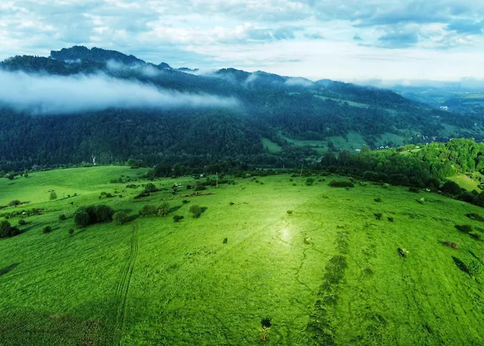 Wlesie W Gorach Pieniny